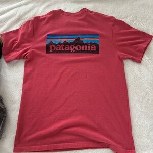 Patagonia Responsibli-Tee Salmon